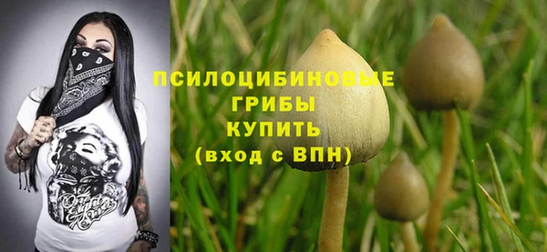таблы Белокуриха